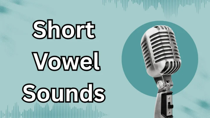 Short Vowel Sounds 短元音