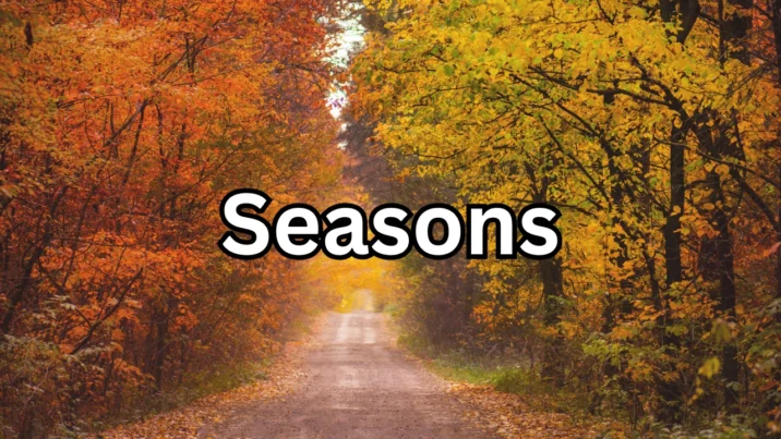 Seasons	季节